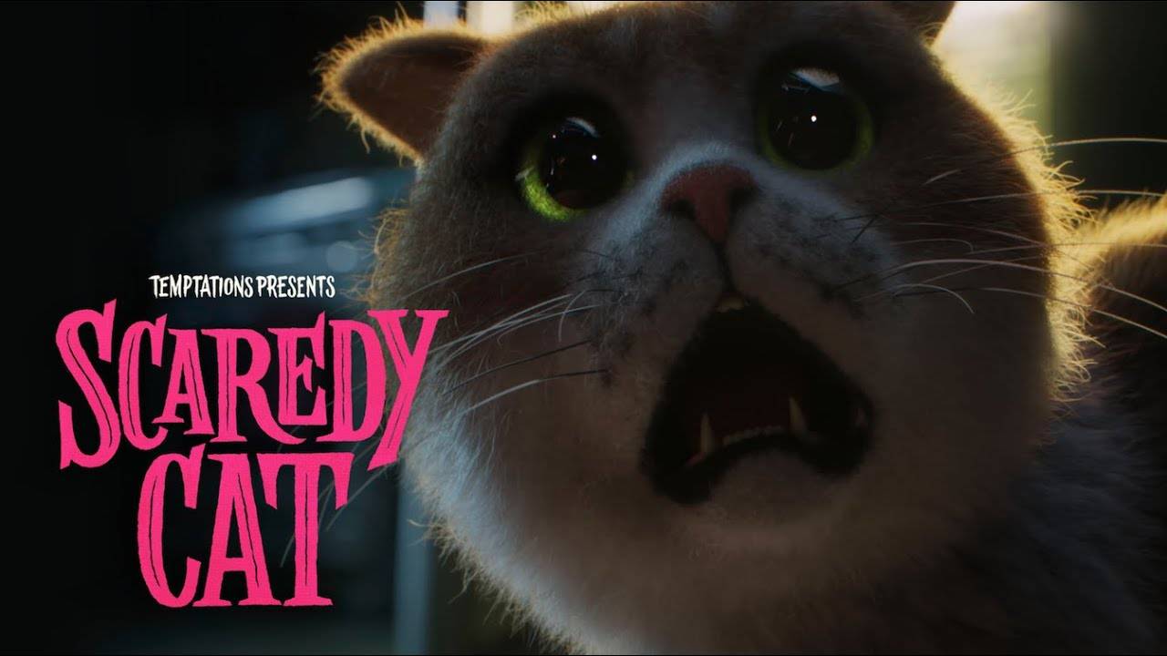 scaredy cat movie