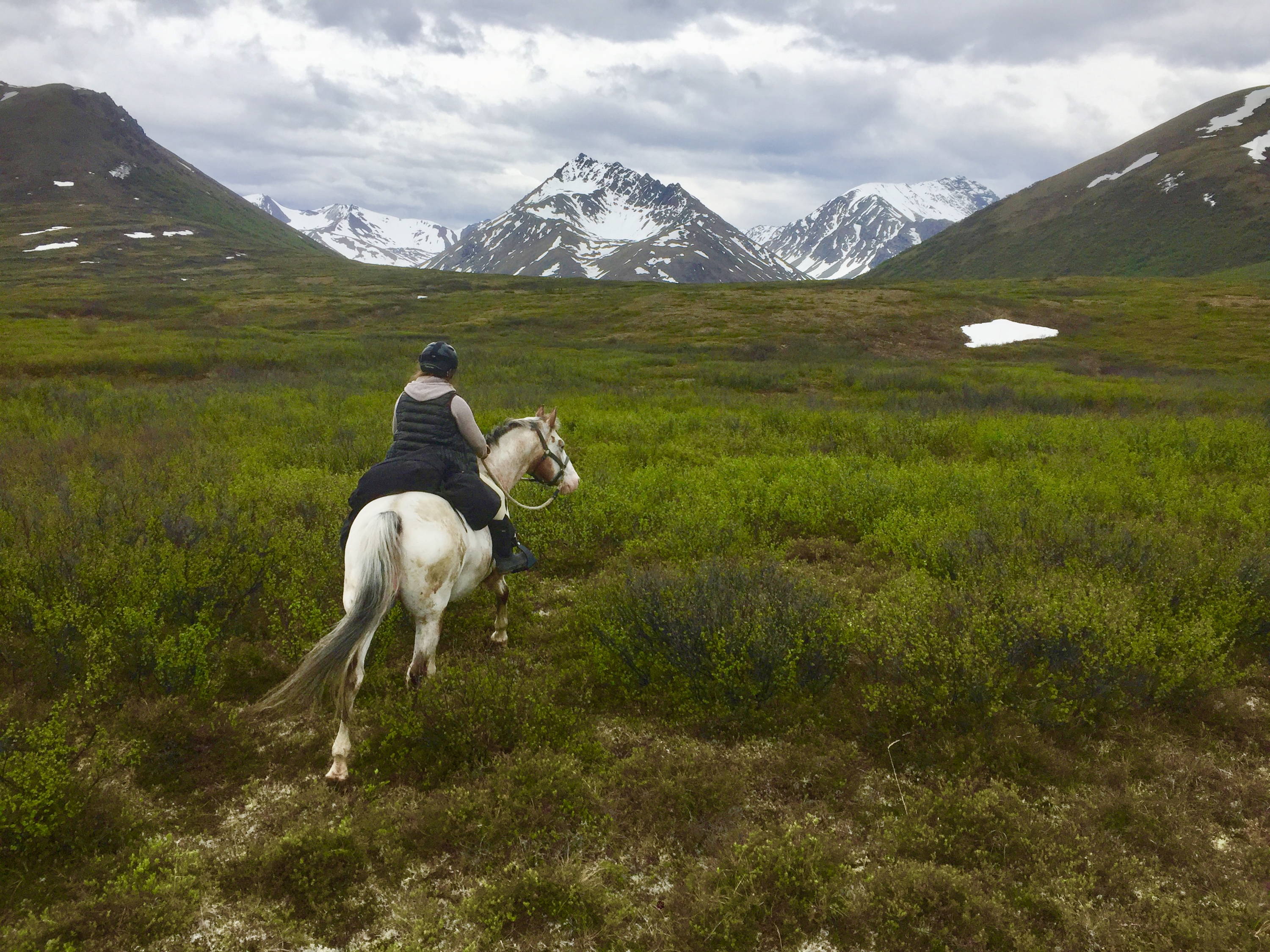 Arctic Horse horse trekking trail riding denali alaska windy creek camping with horses Jen Dushane