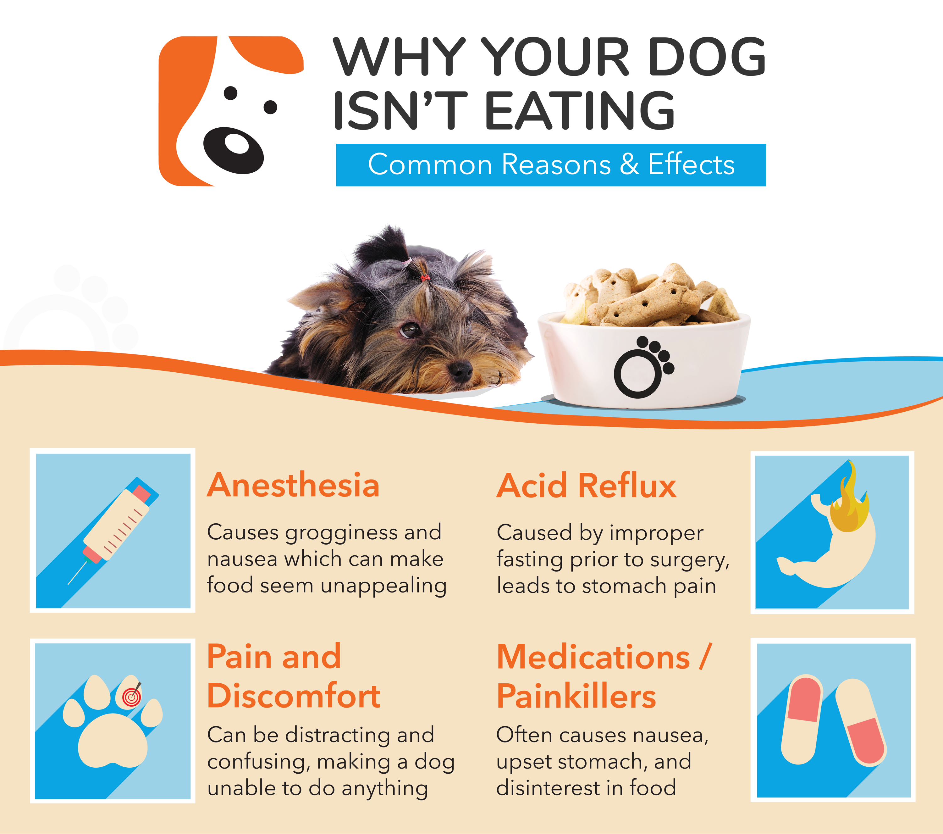 7 Ways To Help A Dog Not Eating After Surgery Boneo Canine