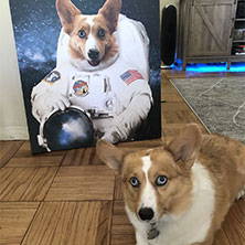 corgi astronaut art
