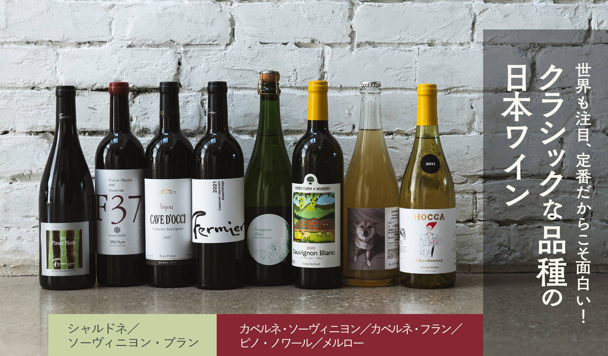 世界も注目、定番だからこそ面白い！クラシックな品種の日本ワイン