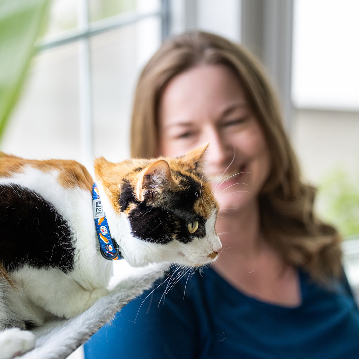 A cat sits on a ledge near a smiling woman.