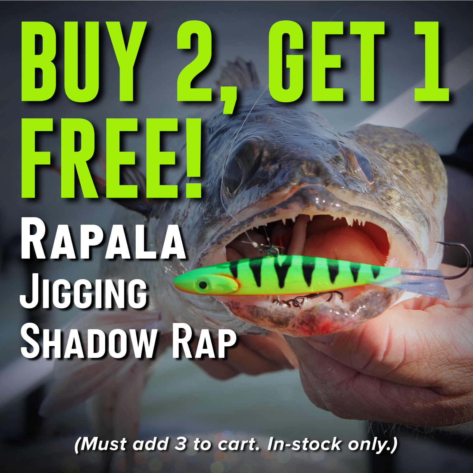 Buy 2, Get 1 Free! Rapala Jigging Shadow Rap (Must add 3 to cart. In-stock only.)