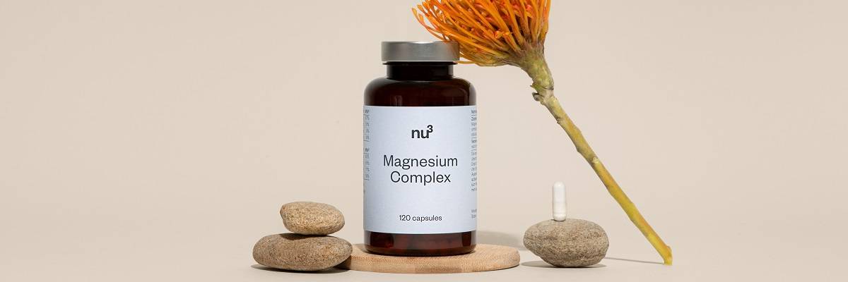 nu3 Magnesium Complex