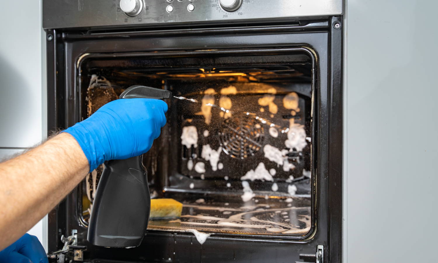 spraying inside of an oven wearibg disposable blue gloves