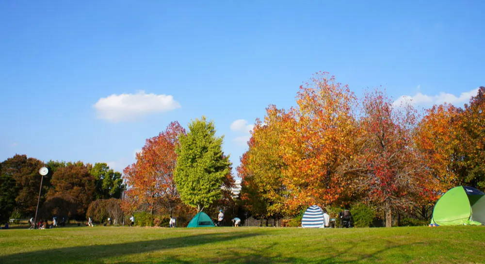 紅葉が綺麗な全国キャンプ場9選！秋キャンプの魅力やおすすめの道具も紹介