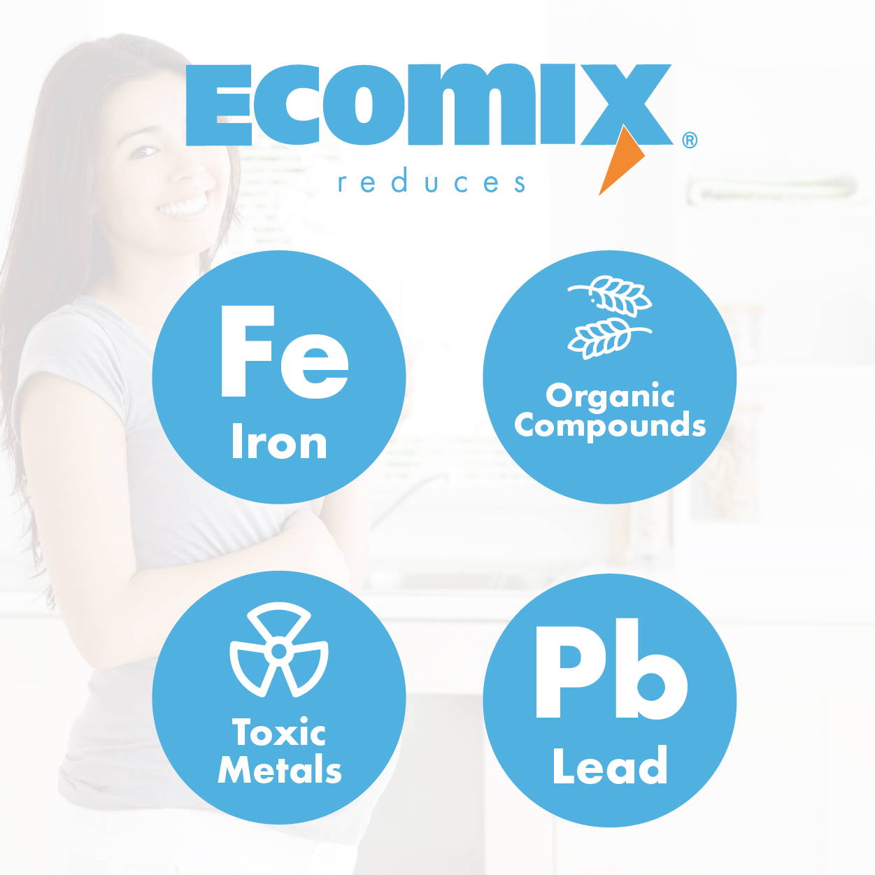 Ecosoft Replacement Filter with Ecomix® Media 2.5 Ecosoft Replacement Filter with Ecomix® Media 2.5