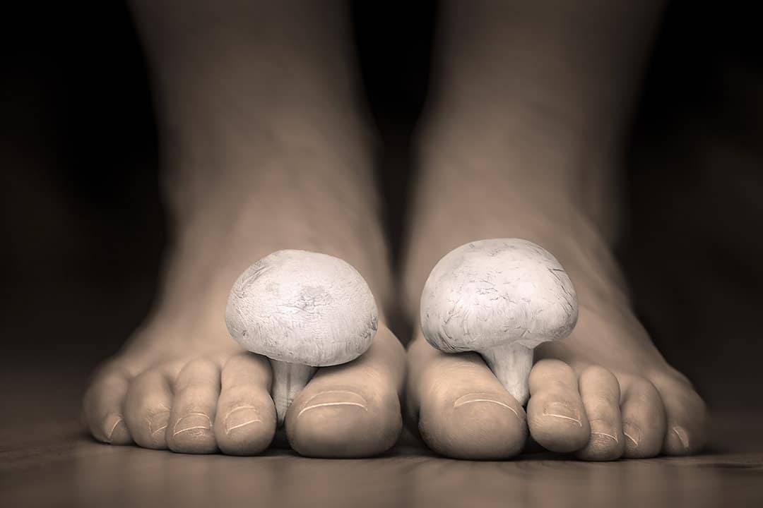 A picture of mushrooms on feet