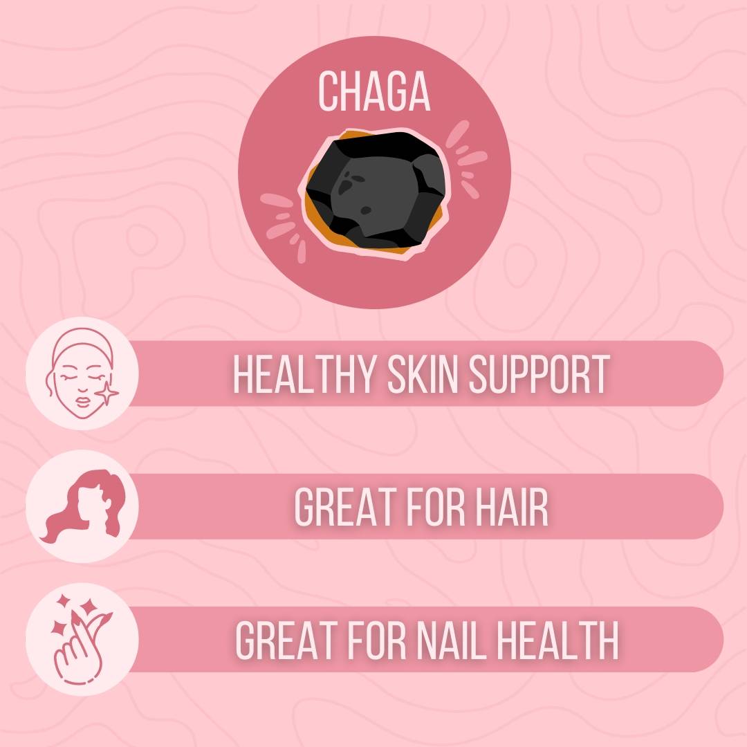 Chaga for skin infographic. Chaga provides healthy skin support, chaga is great for hair and nail health.