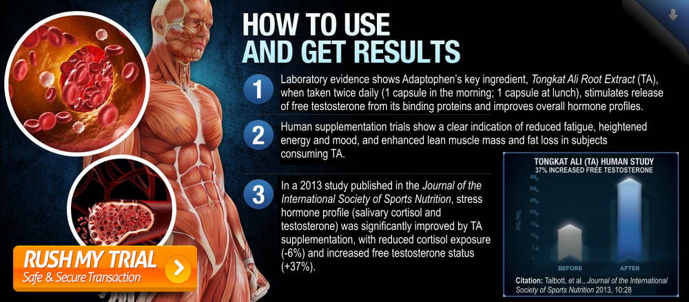 Adaptophen: How to Get Results