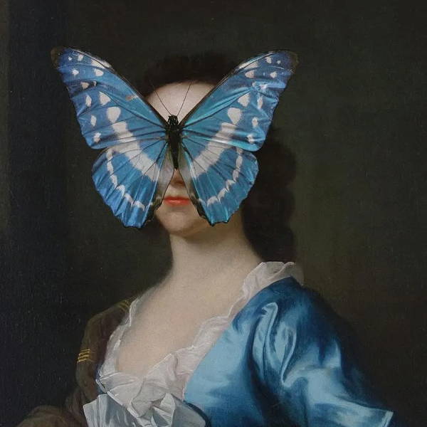 Butterfly Wall Art Mineheart