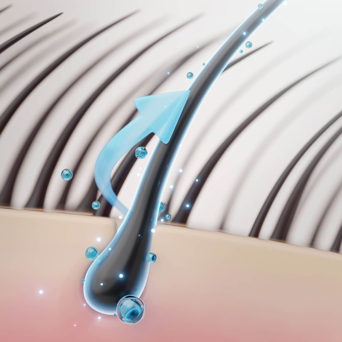 Illustration showing nutrients being delivered to hair follicles