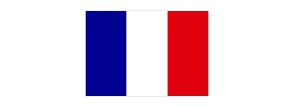 Made In France copy