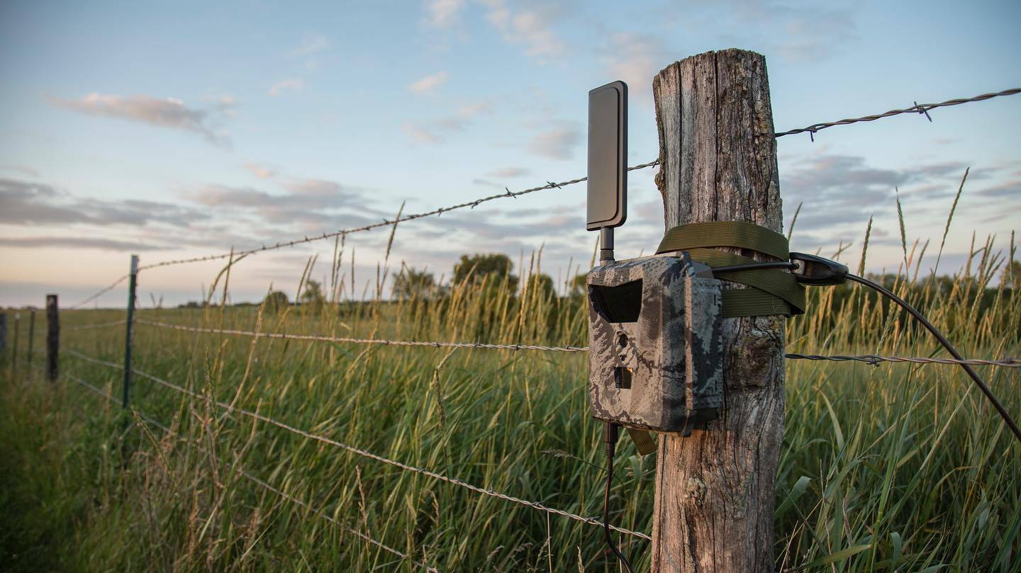 A Spartan Ghost camera is strapped to a barb wire fence's wooden post by an army green nylon strap and a black Python Lock. The background is a field of wheat and distant trees.