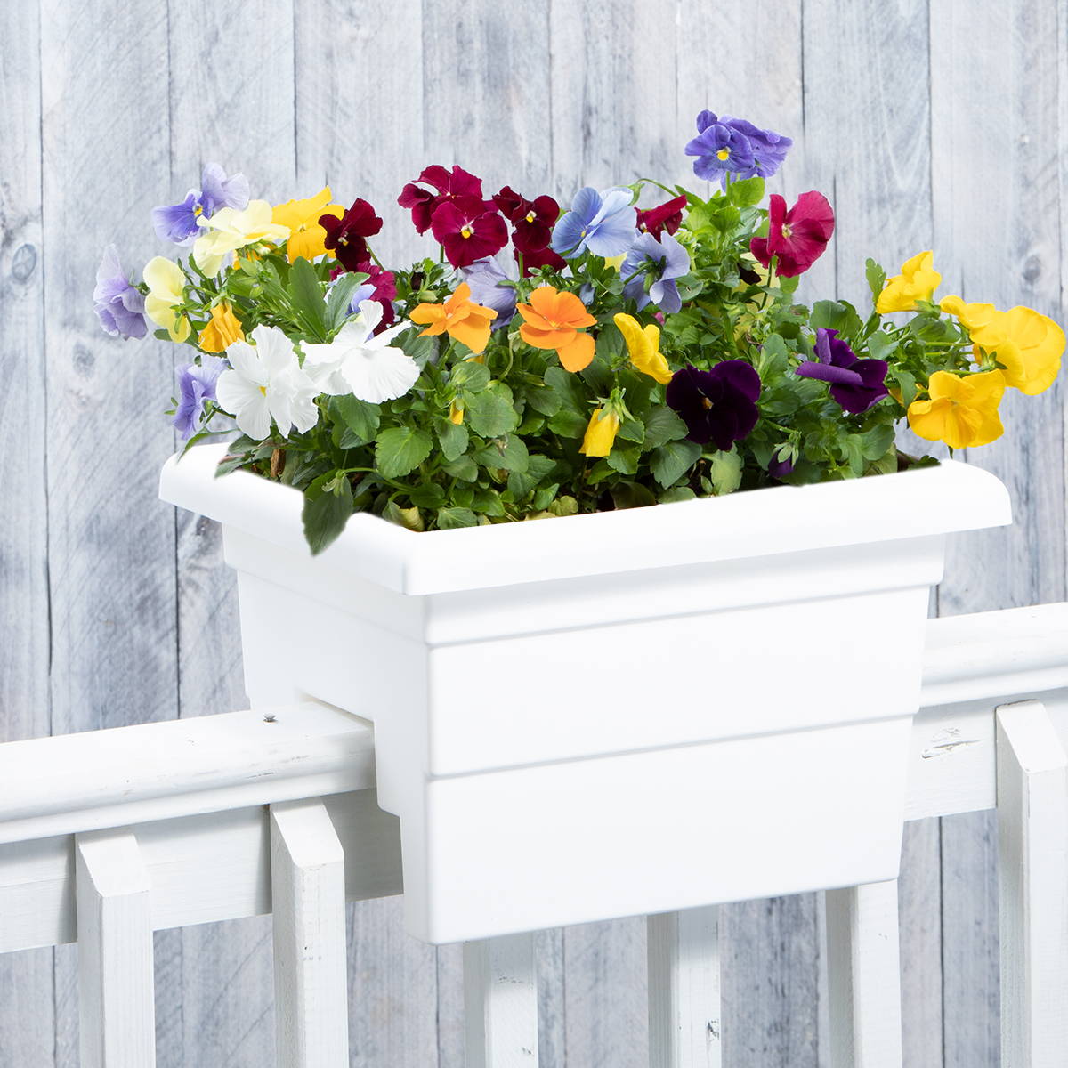 White deck railing planter with colorful pansies