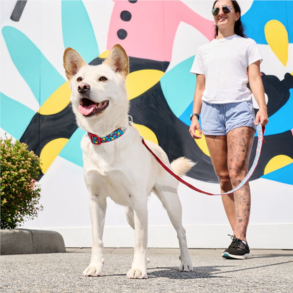 A person walking a dog in front of a colorful mural.