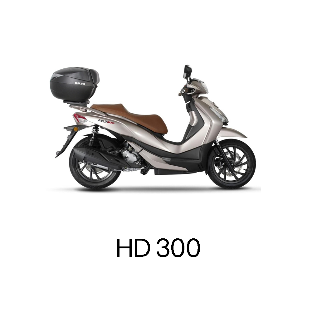 HD 300