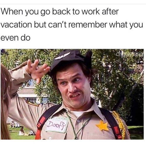 Funny First Day Back To Work After Vacation Meme