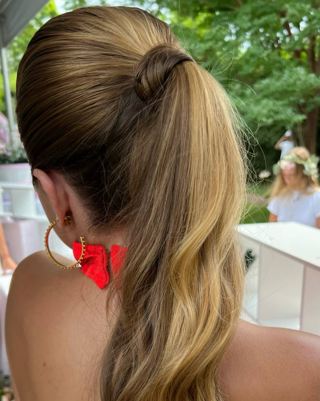 Image of sleek ponytail closeup