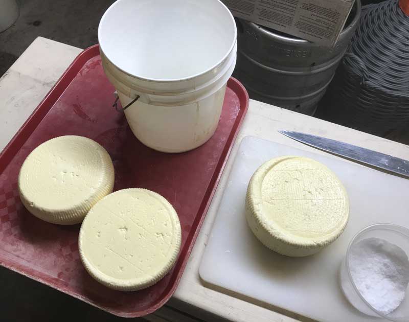 Storing And Aging Homemade Cheese - Cultures For Health
