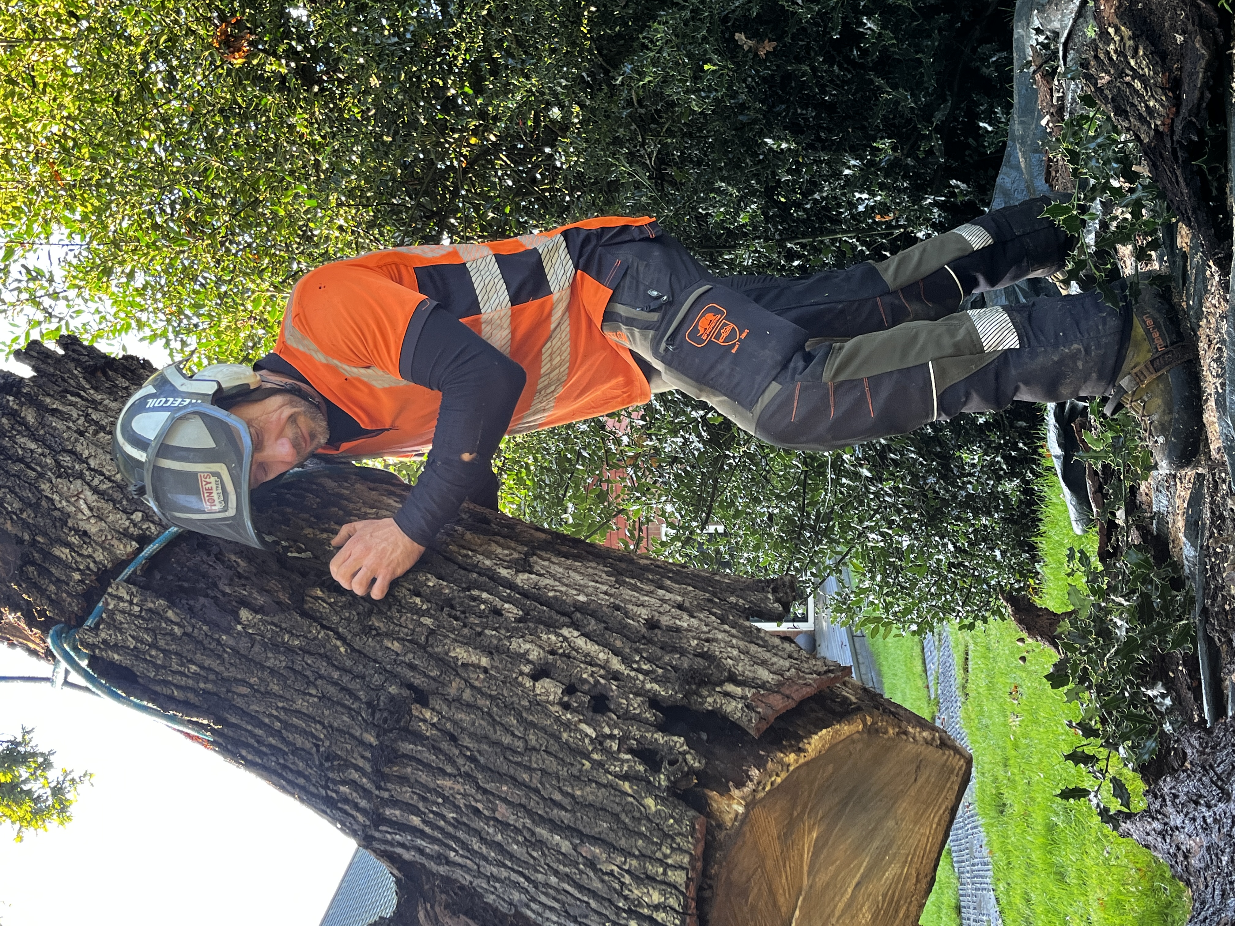 Tree worker in safety gear lifting a large log outdoors.