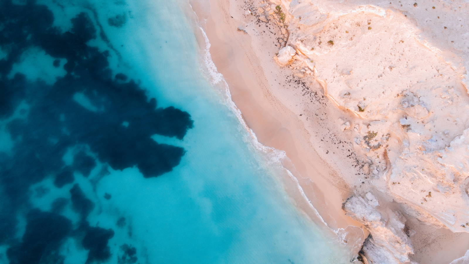 Aerial photo of beach shoreline and blue ocean for sustainability in biotech article