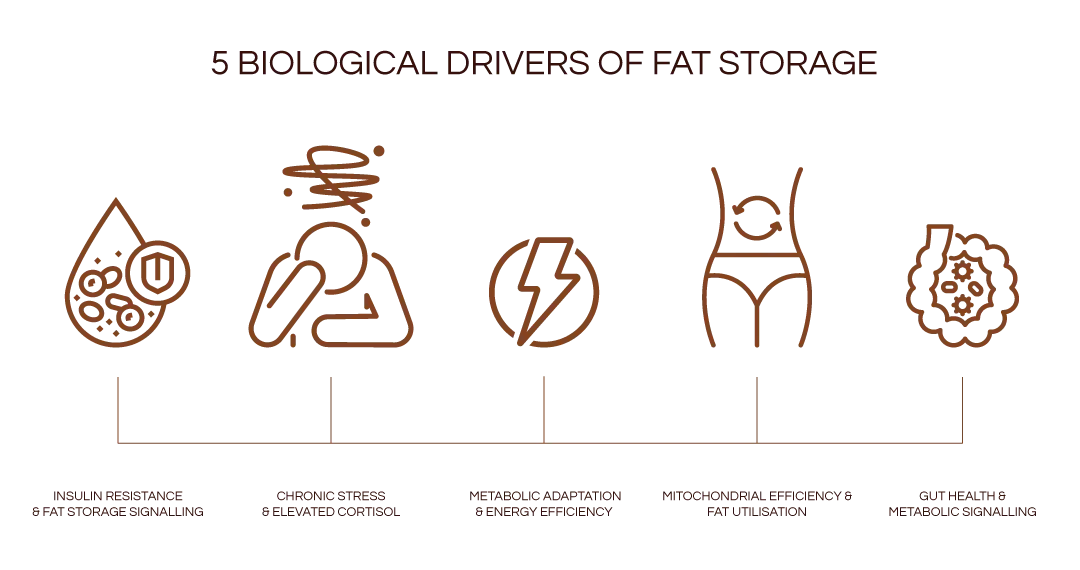 Illustration of five health-related benefits with corresponding icons.