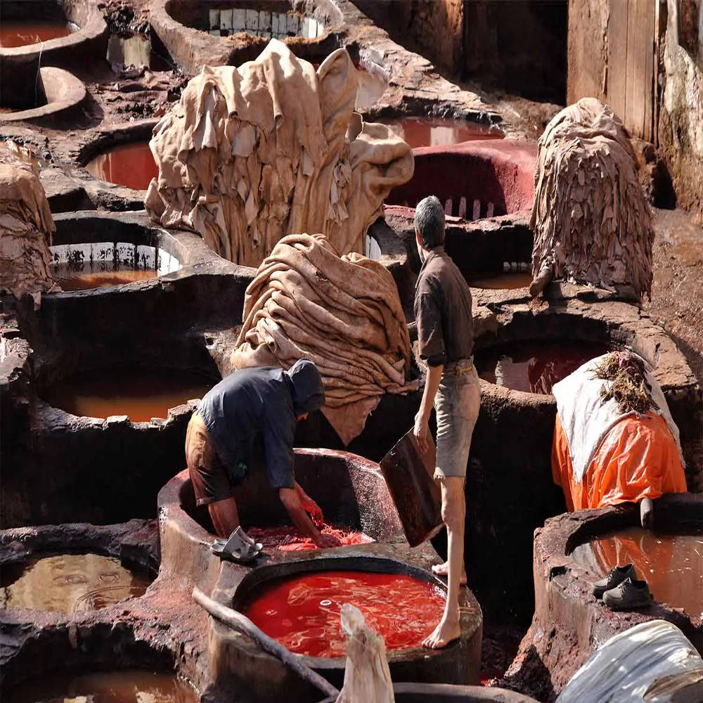 two men stand barefoot in large tanning vessels