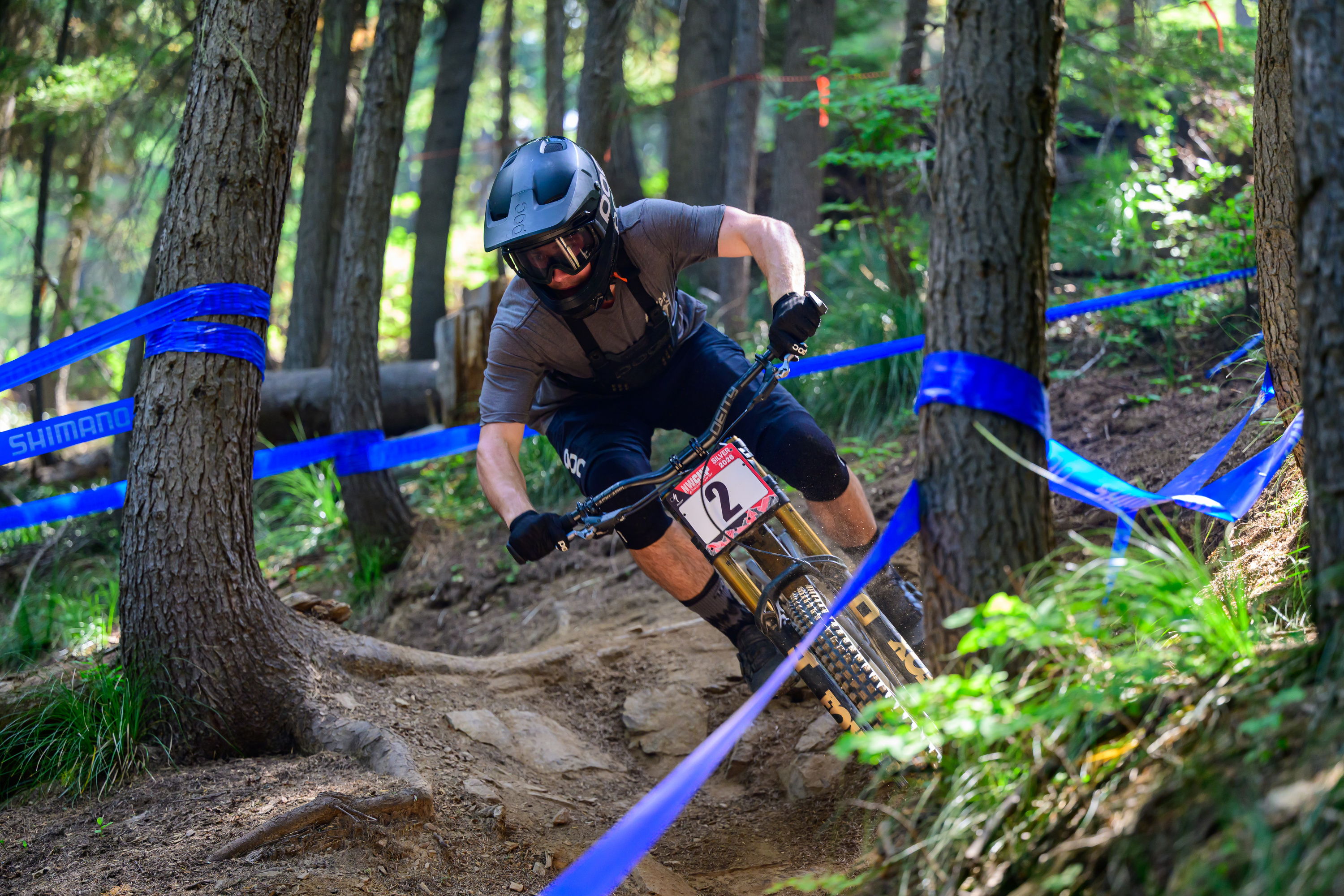 Mountain biker navigating a trail surrounded by trees and blue tape.