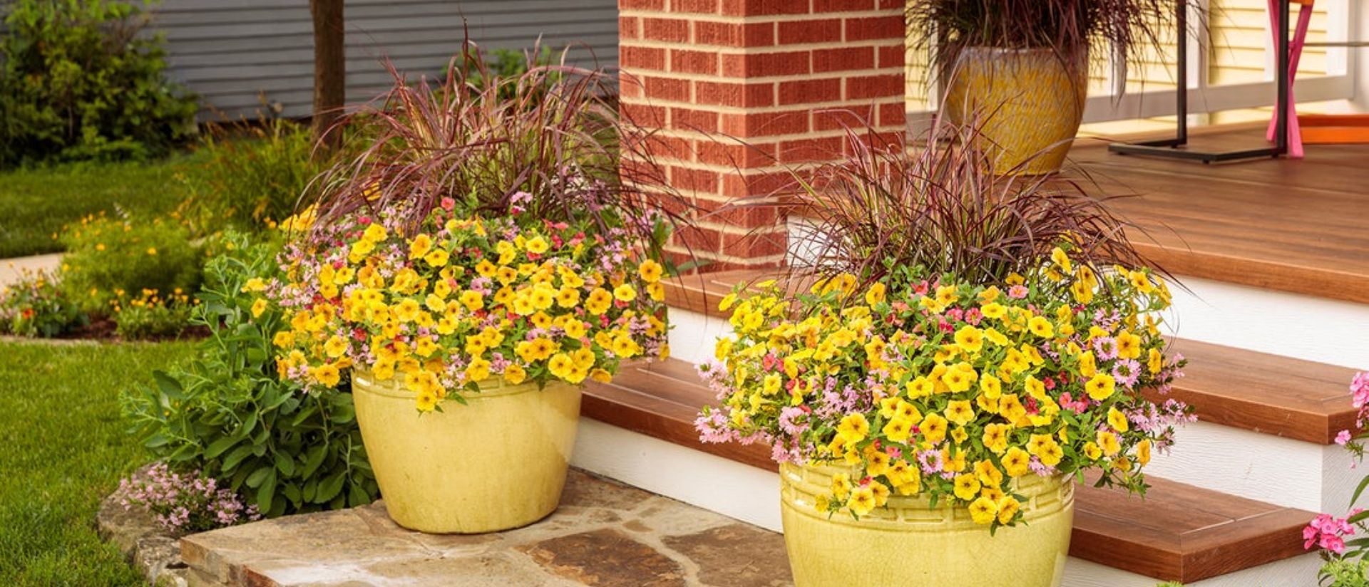 Planters in front of a house planted with Superbells® Tropical Sunrise, Stardiva® Pink, Graceful Grasses® Fireworks