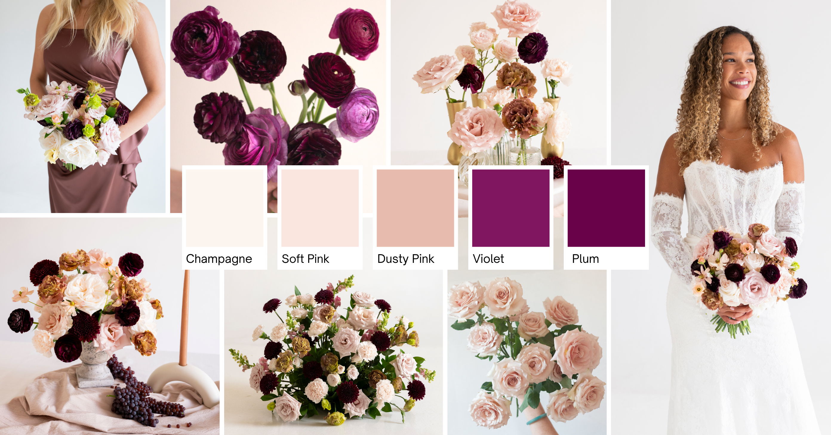 blush and plum header