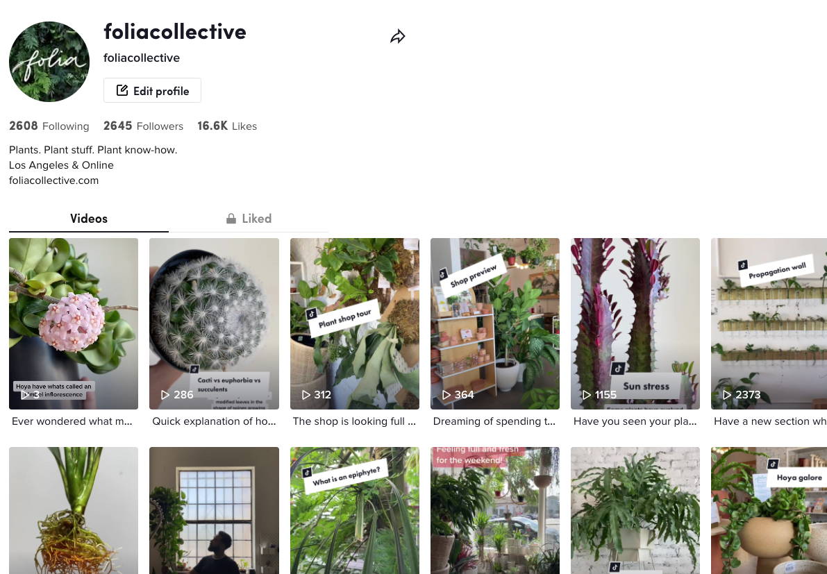 Screenshot showing a grid of thumbnails of TikTok videos from the Folia TikTok account