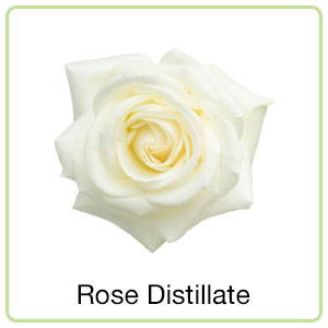 rose distillate