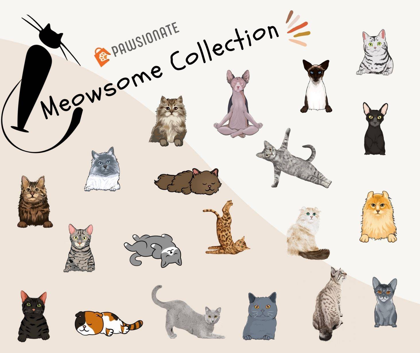 cat breeds at pawsionate