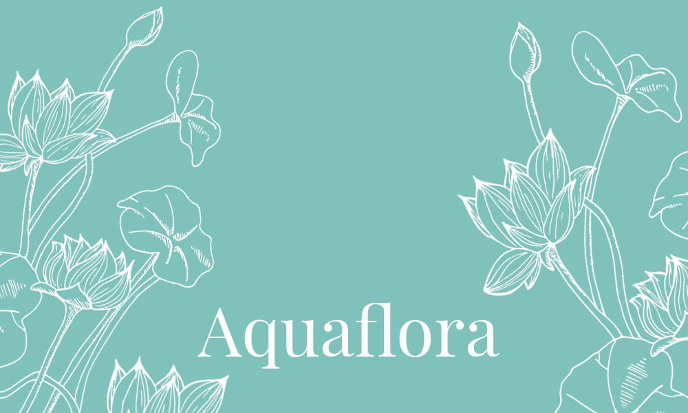 Image de la gamme Aquaflora de la collection Femme Dans un Jardin