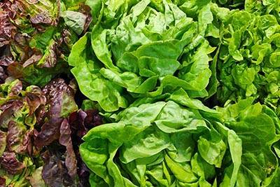 Lettuce & Greens