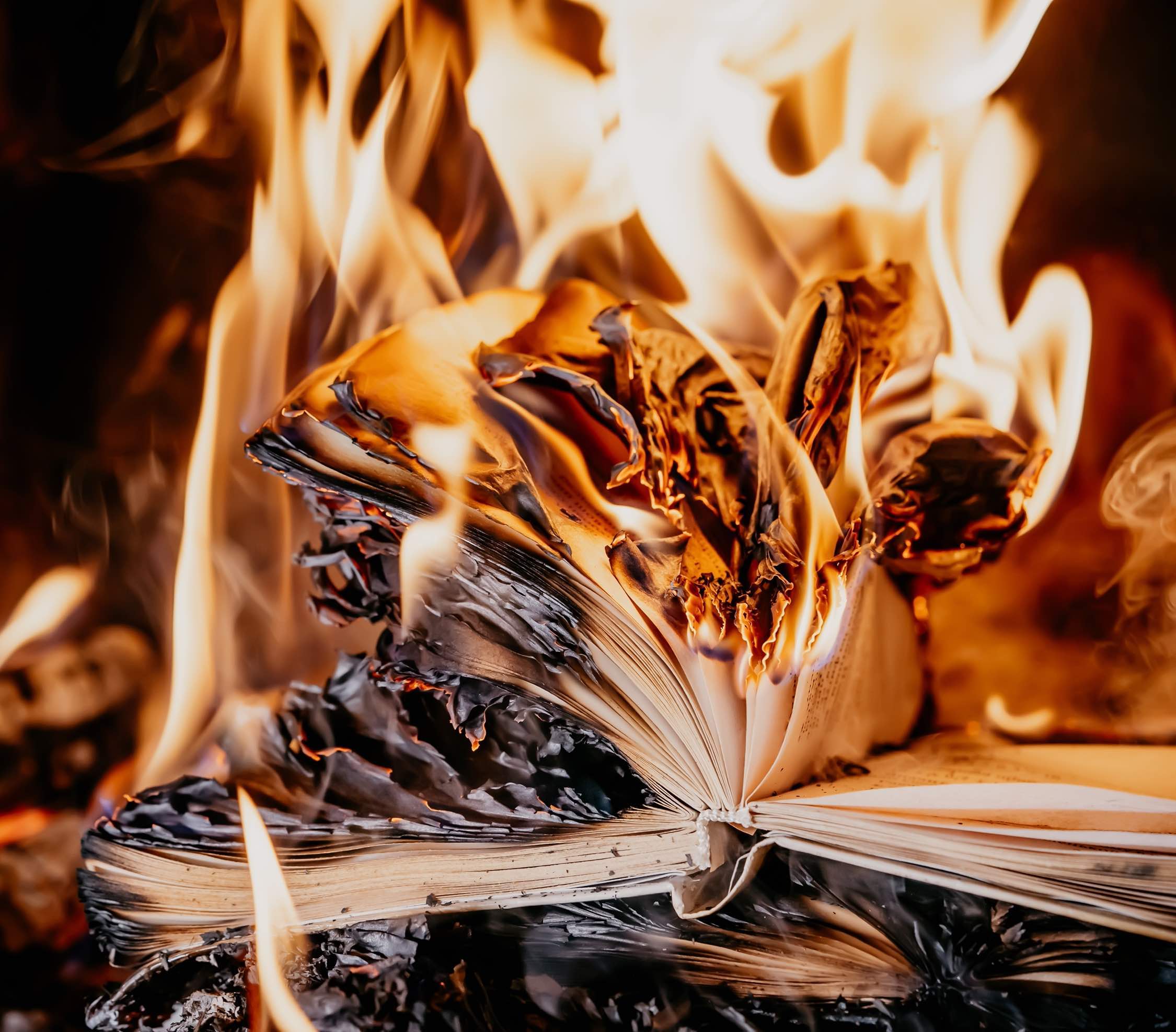 Paper Book Burning in Fire
