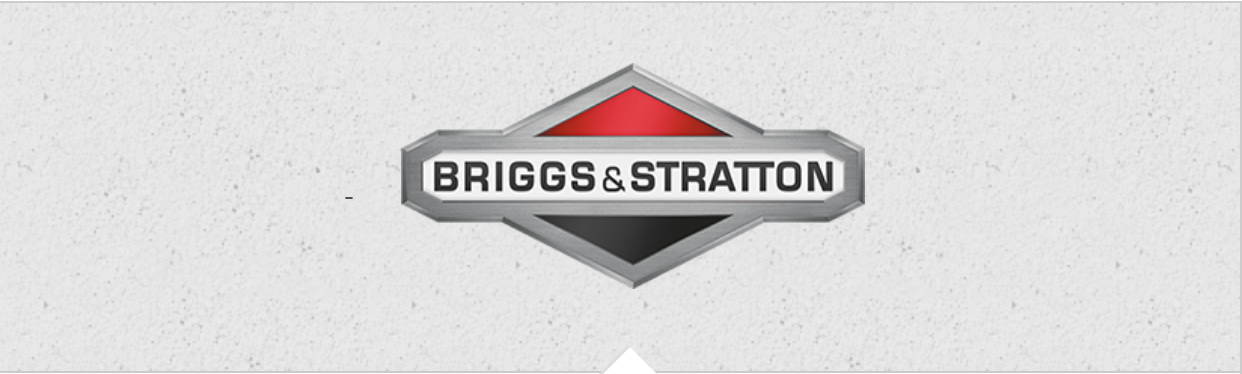 Briggs & Stratton Replacement Parts