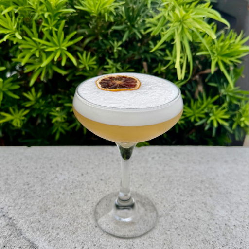 Cocktail in a glass with foam and a slice of dried fruit on top.