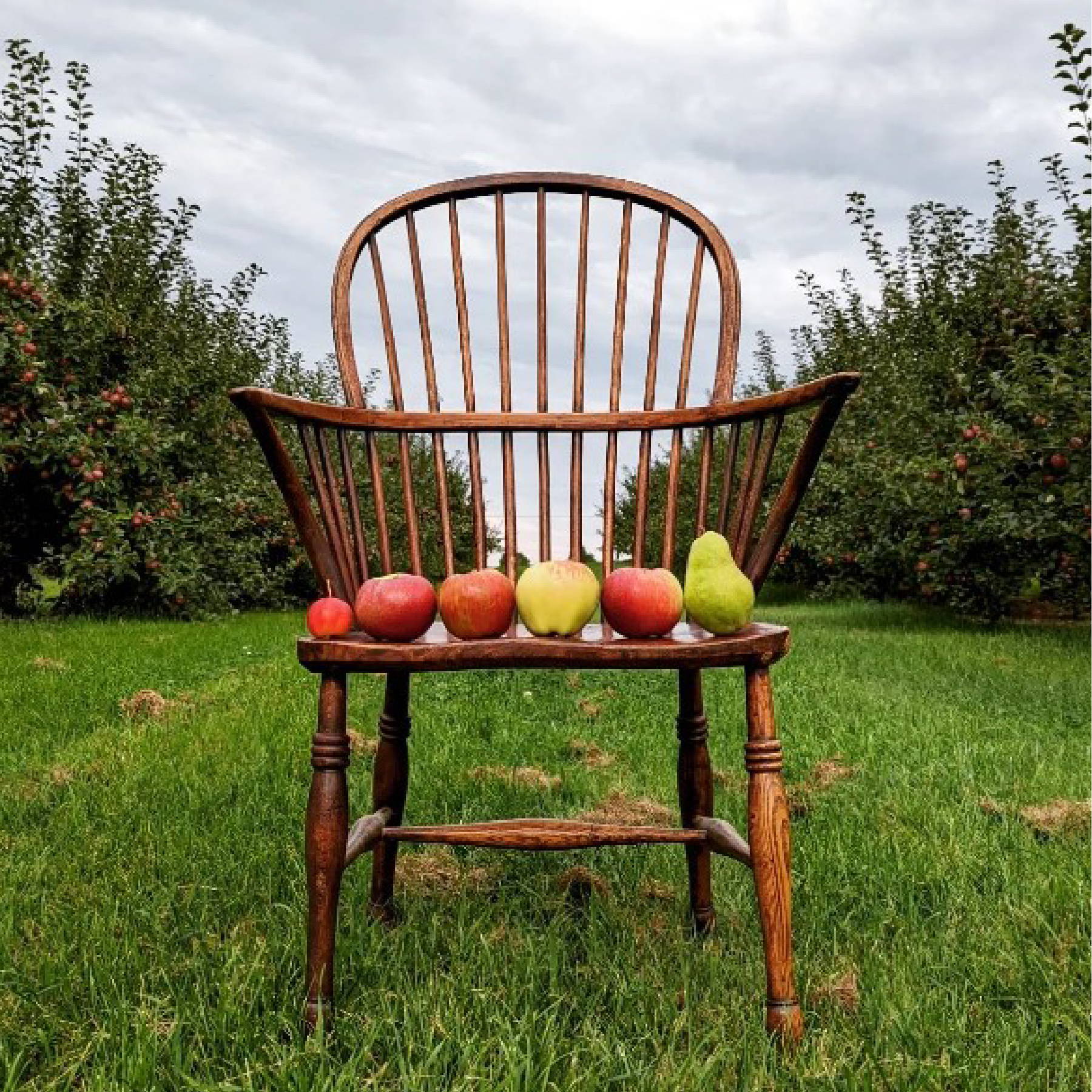 a chair with apples on it