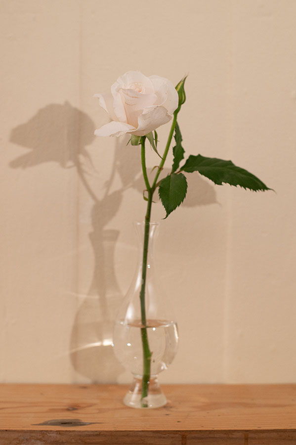 A single white rose in a clear vase on a wooden surface.