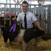 Young man in a white shirt and tie holding a purple ribbon next to a black and white pig in a livestock pen.