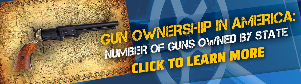 Gun Ownership in America