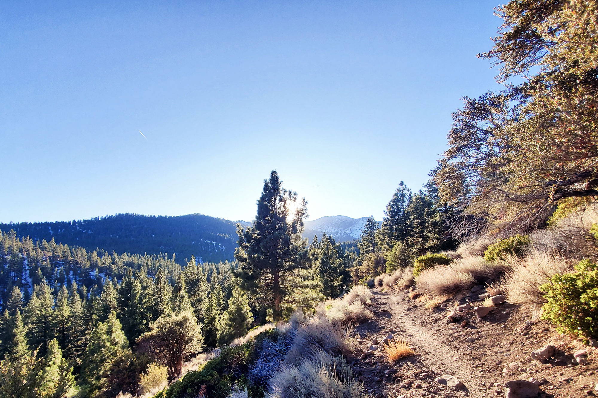 Mountain hiking trail