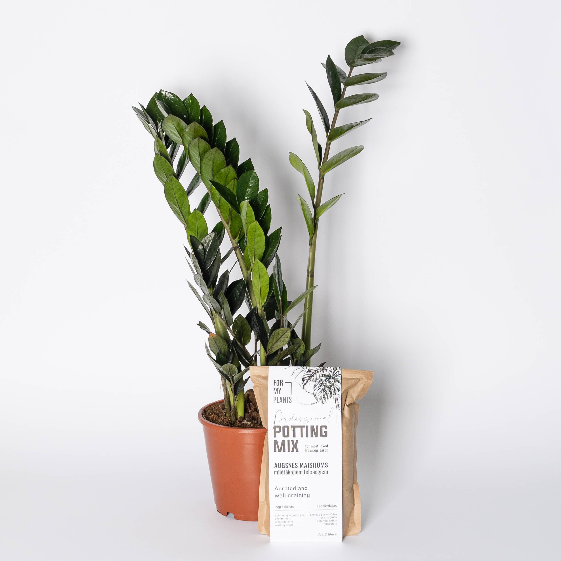 EASYPOT. Online store for best plants in the EU