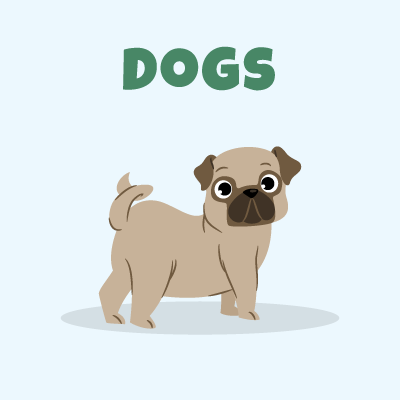 Bailey's CBD For Dogs Collection Page Image