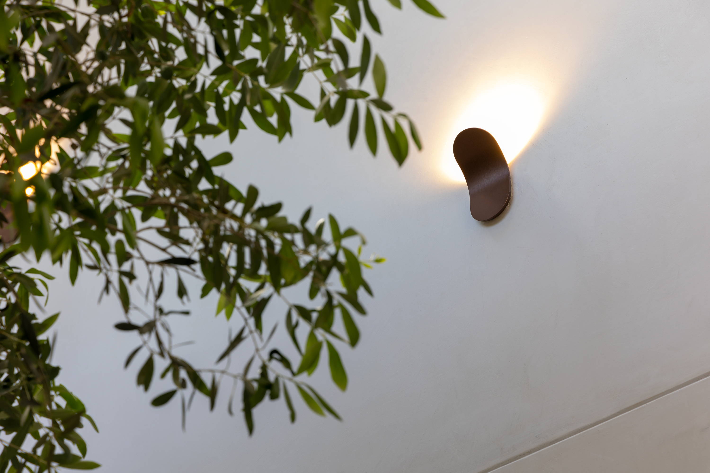 Modern Curved LED Wall Light | Bronze 