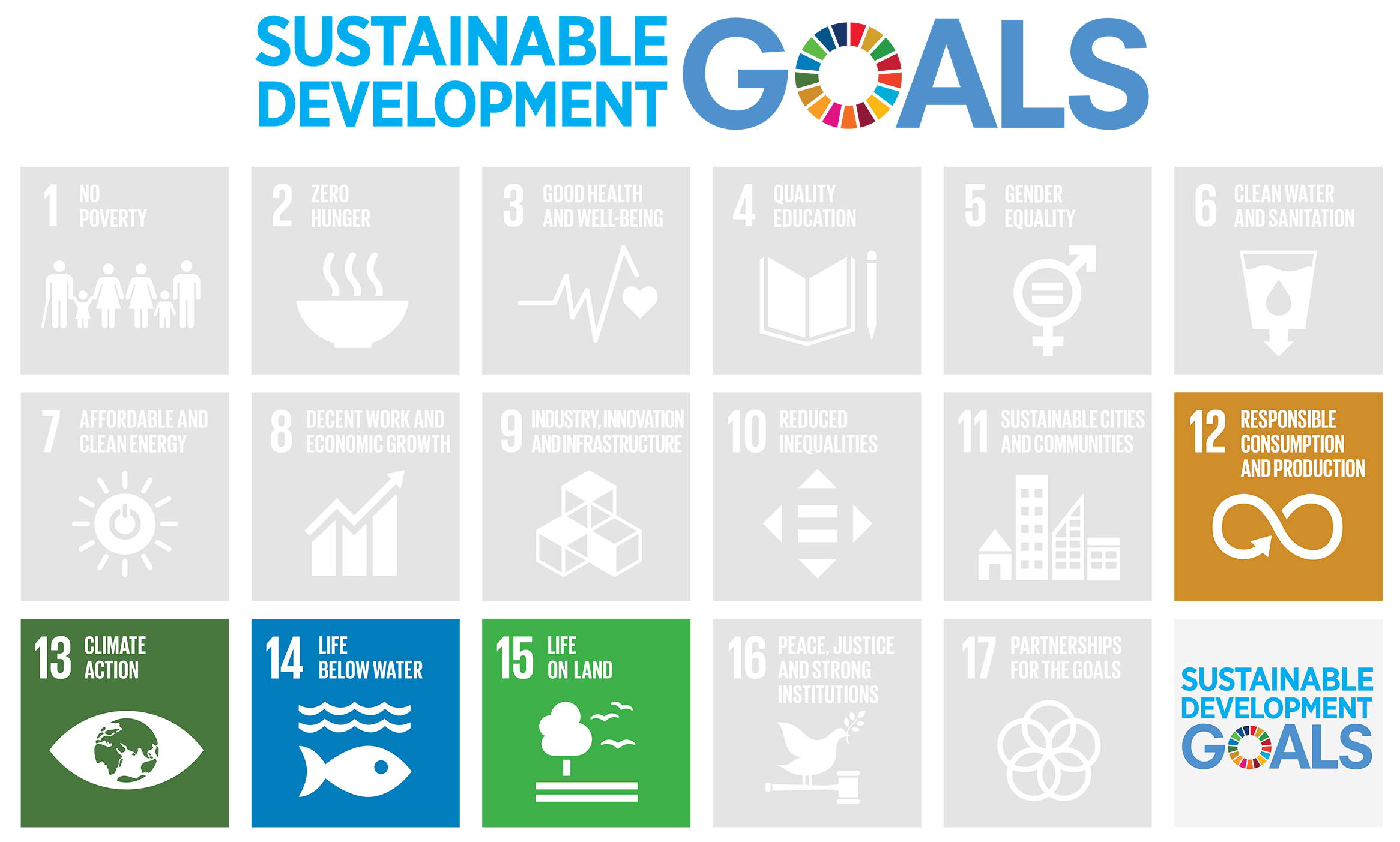 Conscious Fashion Campaign United Nations Sustainable Development Goals
