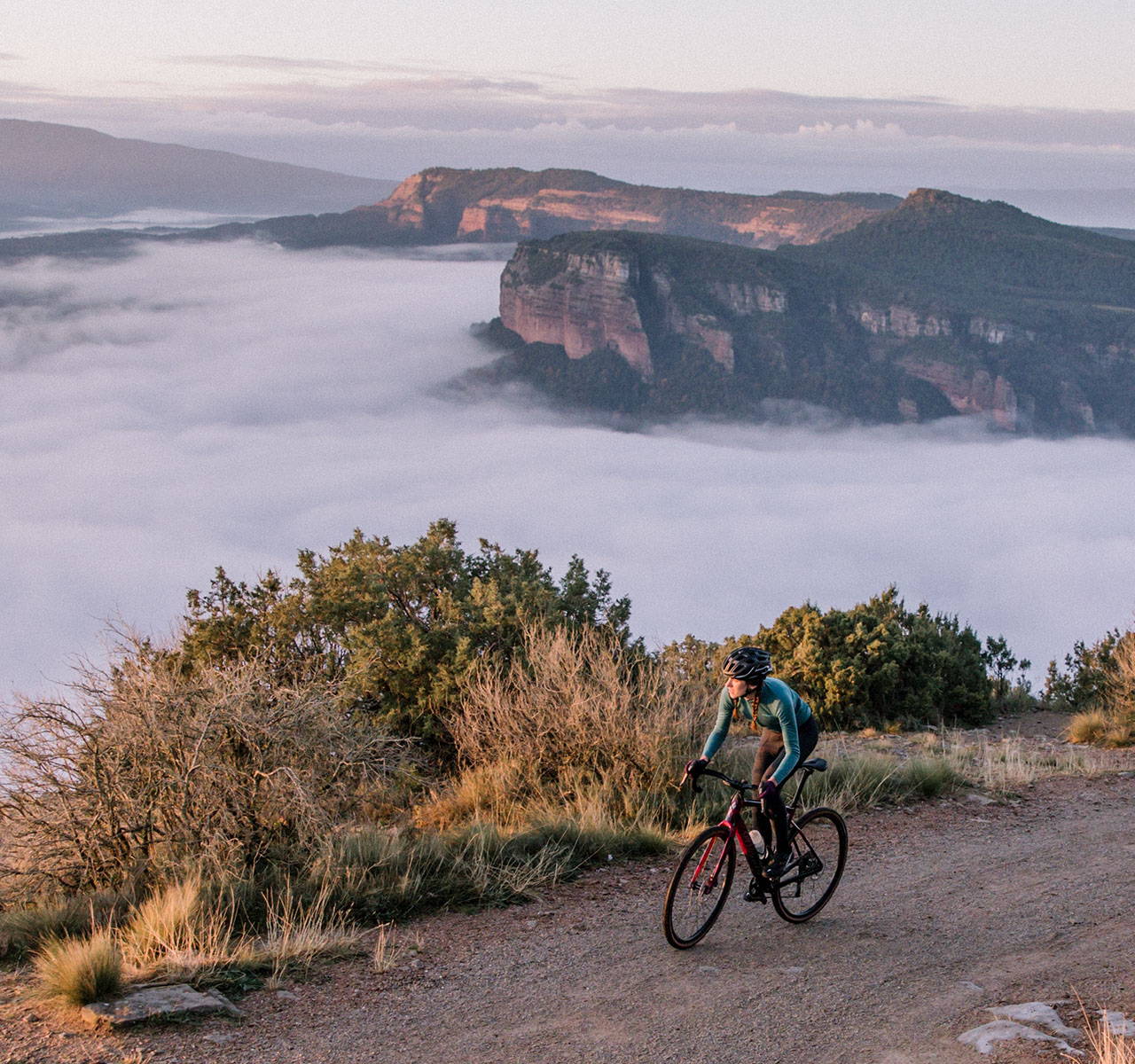 All New Diverge | Specialized Taiwan All New Diverge | Specialized Taiwan