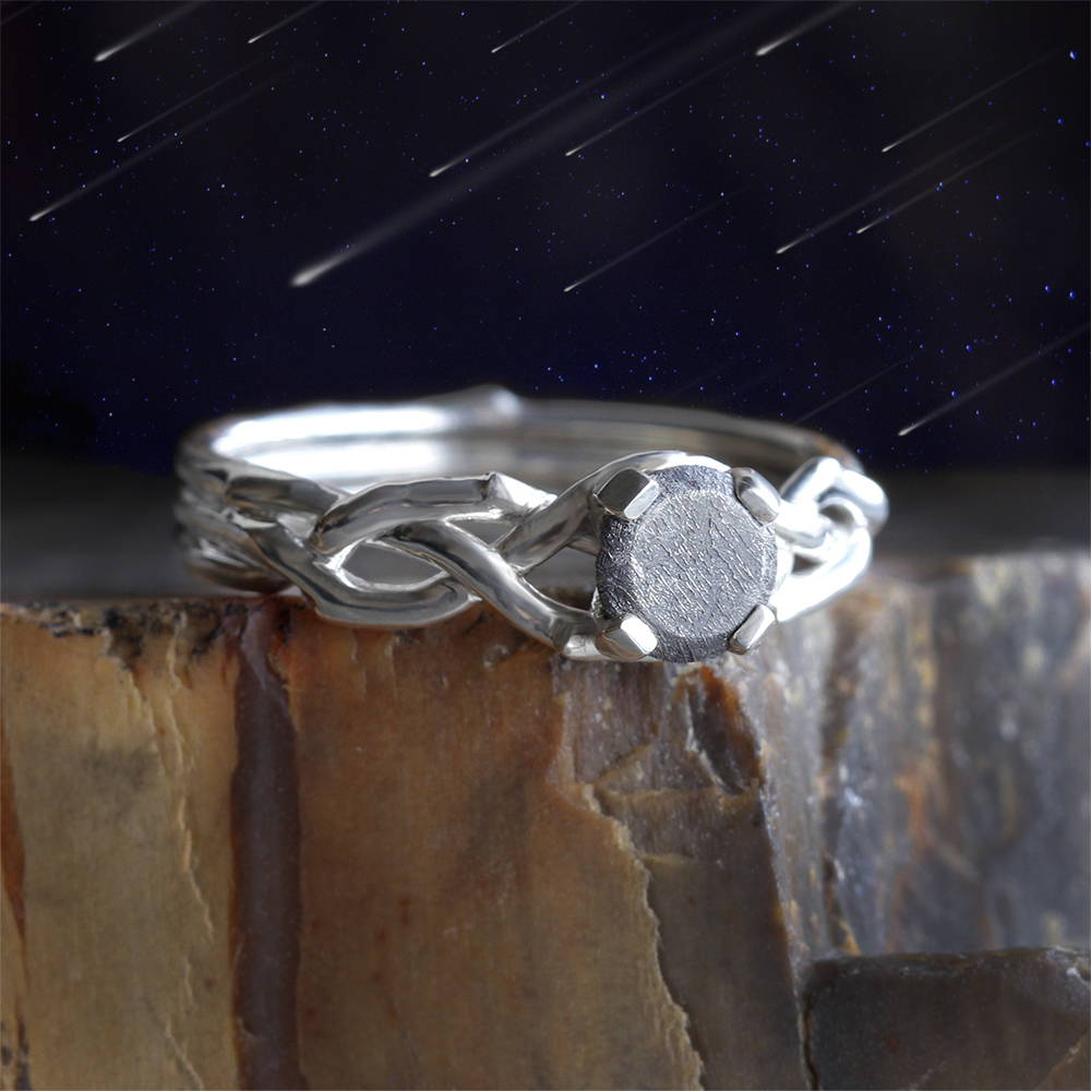 Nature Inspired Meteorite Ring